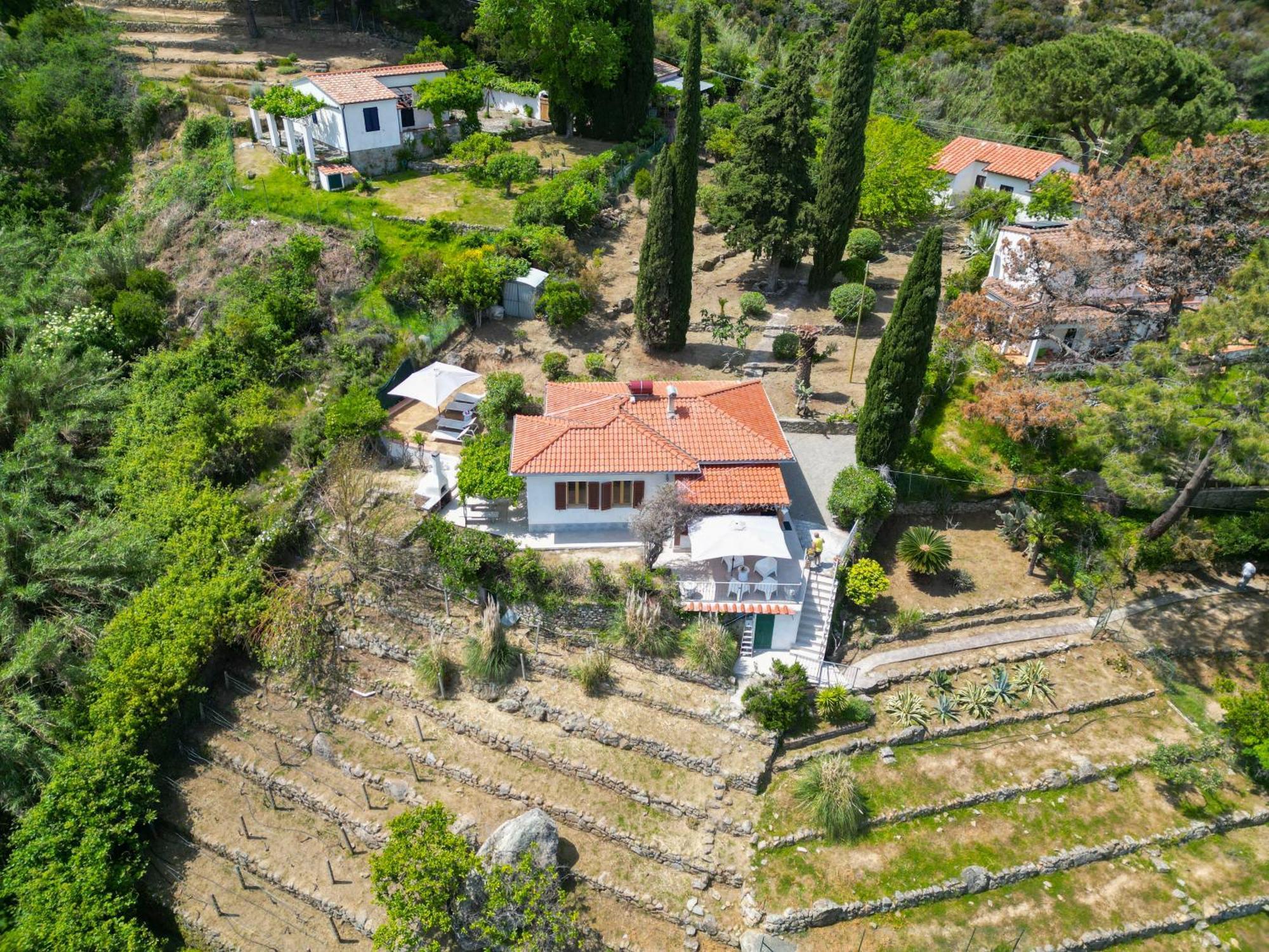 Casa Panoramica Bouganville Сант'Андреа Екстер'єр фото