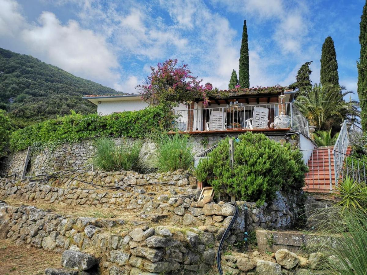 Casa Panoramica Bouganville Сант'Андреа Екстер'єр фото